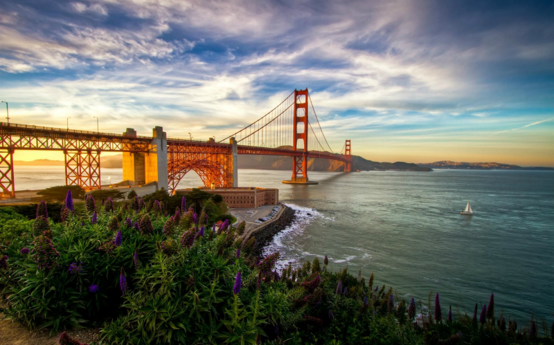 SF Summer